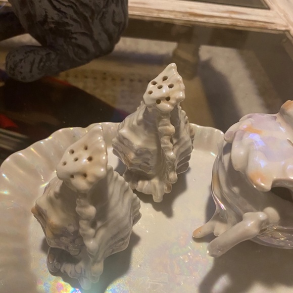 Elegant Iridescent Shell Dish Set - Picture 3 of 16